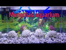 Aquariums Cara Menghias Aquarium Untuk Pemula In 2020 Aquarium