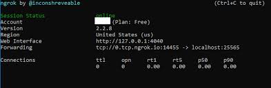 Cuando intento conectarme a ella, se dice connection gaming minecraft. Guide How To Host A Minecraft Server Online From Your Pc For Free Hypixel Minecraft Server And Maps