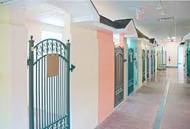 Our doctors have years of experience treating serious conditions and offering regular pet wellness care. Pin By Morgan Bratcher On Animals In 2020 Dog Boarding Facility Pet Resort Dog Hotel