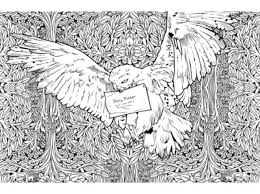 Download Now Harry Potter Colouring Books For Adults To Beat Some Stress The Economic Times