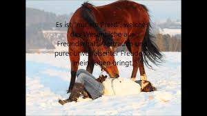 Traber Robby Bes Nur Ein Pferd Youtube