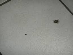 Both are united by the awareness of how pro ciency in their craft is essential to make them blossom into art. Fliesen Mit Macken Leonardo Hotel Wolfsburg City Center Wolfsburg Holidaycheck Niedersachsen Deutschland