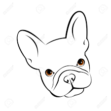 Bulldogge Hund Tier Franzosisch Vektor Illustration Haustier Zucht Niedlich Zeichnen Welpe Lizenzfrei Nutzbare Vektorgrafiken Clip Arts Illustrationen Image 74774905