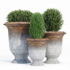 Anduze 3d Model For Vray Corona Landscape Design Street Boxwood Flower Buxus Pot Greens Eco Garden Lof In 2020 Boxwood Landscaping Planters Concrete Color