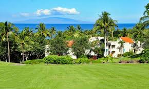 Wailea Palms 2