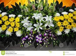 Bright floral display of assorted seasonal flowers in pinks Funeral Flowers For Condolences Stock Image Image Of Chrysanthemum Decoration 62963565