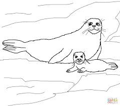 Resultado De Imagem Para Focapara Colorir Baby Coloring Pages Baby Harp Seal Coloring Pages