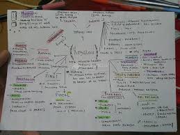 Pengembangan perangkat pembelajaran model poe dengan teknik concept mapping pada materi getaran, gelombang, dan bunyi. Regulasi Biologi Sma Smk Detail Catatan Mejakita