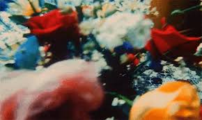 We did not find results for: Gif Nature And Colors Image 7834342 On Favim Com
