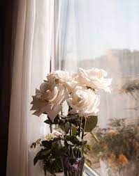 What you need to know is that these images that you add will neither increase nor decrease the speed of your computer. 1500 Flower Iphone Pictures Download Free Images On Unsplash