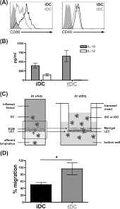 This results in materials that have a bright. Galectin 1 Regulates Tissue Exit Of Specific Dendritic Cell Populations Journal Of Biological Chemistry