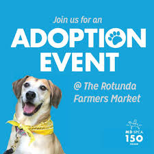 View location on google maps. Maryland Spca Join Us And Adoptable Pets At The Rotunda Facebook