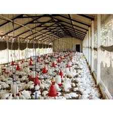 Instead, with j&n structures, you can enjoy controlled storage for. Galvanize Prefabricated Hot Sale Design Control Shed Poultry Farm For Sale China Chicken House Poultry Farms Made In China Com