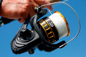 Daiwa Bg Spinning Reels