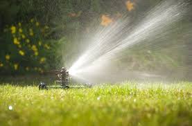 You can water late in the evening but early morning is the best time because if the lawn remains wet overnight it is more susceptible to molds and fungi. How To Water Your Yard During A Drought