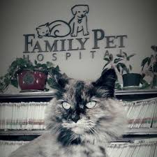 Check spelling or type a new query. Family Pet Hospital Home Facebook