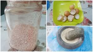 Dari mana datangnya tak tahulah. Racun Semulajadi Untuk Halau Lipas Semut Haiwan Perosak Guna Kulit Telur Saja