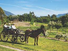 May 15, 2020 · a partir de las 22 horas, 38 comunas de la región metropolitana inician su período de cuarentena total. Turismo En Melipilla Chile 2021 Opiniones Consejos E Informacion Tripadvisor