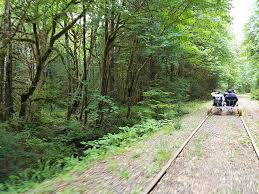 Very little learning curve to sitting and pedaling safely. Scenicwa 365 Things To Do In Washington State Vance Creek Railriders