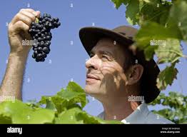 School leaving hi-res stock photography and images