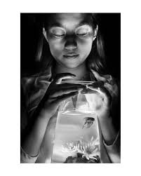 Rachel Casper (@beachboysfanaccount) • Instagram photos and videos