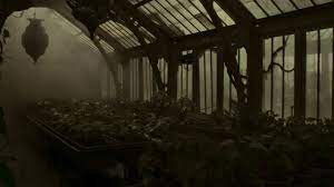 We did not find results for: Asmr Hogwarts Greenhouse Herbology Class Harry Potter Ambience Soundscape Youtube