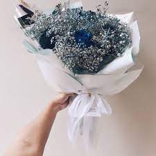 Baby S Breath