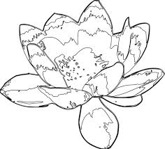 Rod, heart, petals, possibly some leaves, and that's all. Coloring Pages Artistic Drawing Of Lotus Flower Coloring Page