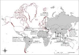 There are many social enterprises that have been actively delivering social values and addressing social and environmental issues in the community. Urban Green Space And Health In Low And Middle Income Countries A Critical Review Sciencedirect