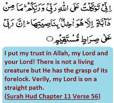 My lord and your lord. Ibrahim Online Surah Hud Chapter 11 Verse 56