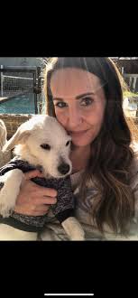 pet rat sudden death due to blood clot