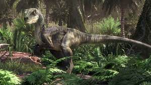 Camp Cretaceous Wallpapers Top Free Camp Cretaceous Backgrounds Wallpaperaccess Our players are mobile (html5) friendly, responsive with chromecast support. camp cretaceous wallpapers top free