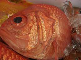 エビスダイ 20160304fb 株式会社食一 fish food meat