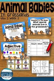 Kindergarten Reading Street Animal Babies In Grasslands Unit 2 Week 3 In 2020 Reading Street Kindergarten Reading Lessons Kindergarten Units