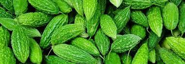 Peria kata juga dikenali sebagai peria atau karela. 10 Khasiat Kebaikan Makan Sayur Peria Katak