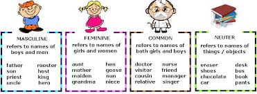 learn about gender nouns with examples eage tutor