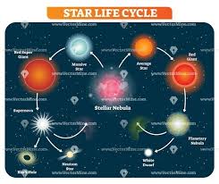 Star Life Cycle Stages Vector Illustration Diagram Star Life Cycle Life Cycle Stages Life Cycles
