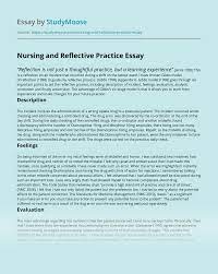 Write about what you want out of the. Nursing And Reflective Practice Free Essay Example