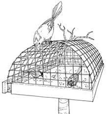 Caged Bird Feeders For Small Birds Uk Starling Proof Platform Feeder Lots Of Wildlife Information With Awesome Illustrations To Match Garden Bird Feeders Caged Bird Feeders Bird Feeding Station