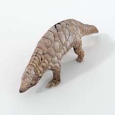 We did not find results for: Pangolin 3d Modell Turbosquid 1394962