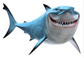 Image result for shark