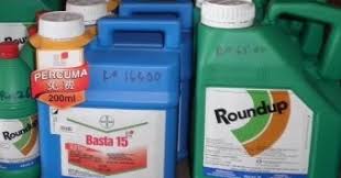 Rumput sambau gambar racun racun pokok gambar rumput teki basta racun rumpai rumput ilalang cara meracun rumput jenis racun lalang racun in english obat pembasmi rumput racun rumput top kuat racun rumput buat sendiri obat rumput liar gulma rumput harga. Racun Rumpai In English Racun Monex