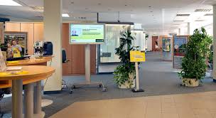 Aktuelle stellenangebote bei raiffeisen bank international ag jobportal! Raiffeisenbank Grassfish