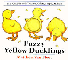 Image result for Safety Yellow 1995 Fleet