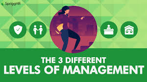Check spelling or type a new query. The 3 Different Levels Of Management Sprigghr