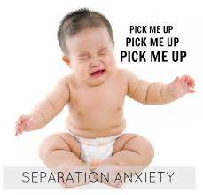 They might cry when left with someone else. Separation Anxiety Soothing Or Spoiling Alpha Mom