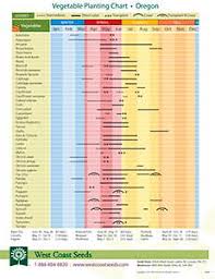 16 actual british seasonal vegetables chart