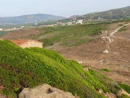 Over the time it has been ranked as high as 159 599 in the world, while most of its traffic comes from romania, where it reached as high as 1 083 position. Zaouia Afir Algeria Mapio Net