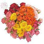 Check spelling or type a new query. Ht Flower Gallery Spray Rose Bunch 1 00 Bunch Harris Teeter