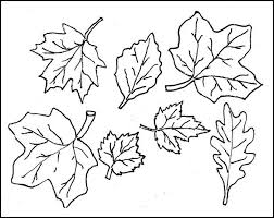 We did not find results for: Leaf Template Printable Leaf Templates Free Premium Templates